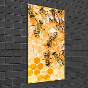 Üvegkép Dolgozó méhek