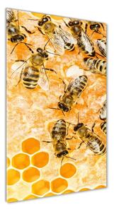 Üvegkép Dolgozó méhek