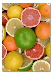 Üvegfotó Citrusfélék