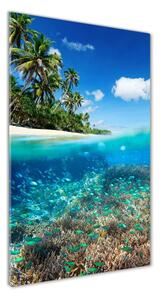 Üvegfotó Korallzátony