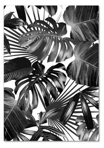 Photo kép üveg Trópusi levelek