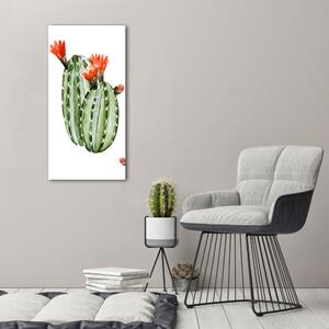 Fali vászonkép Kaktuszok