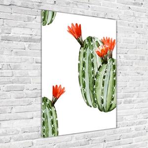Photo kép üveg Kaktuszok