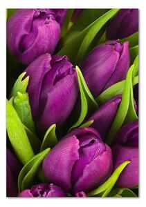 Egyedi üvegkép Lila tulipánok