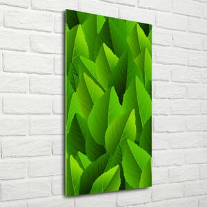 Photo kép üveg Zöld levelek