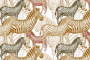 Kép a zebrák birodalma