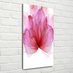 Photo kép üveg Rózsaszín virág