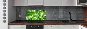 Konyhai falburkoló panel Zöld erdő