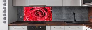 Konyhai falburkoló panel Vízcseppek egy rózsa