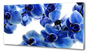 Konyhai falburkoló panel Kék orchidea