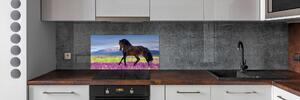 Konyhai fali panel A ló egy levendula mező