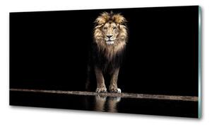 Konyhai fali panel Portré egy oroszlán