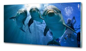 Konyhai fali panel Három delfinek