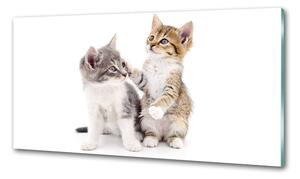 Konyhai fali panel Két kis macska