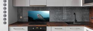 Konyhai fali panel Nagy cápa