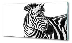 Konyhai fali panel Zebra hó
