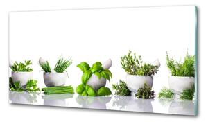 Konyhai falburkoló panel Gyógynövények