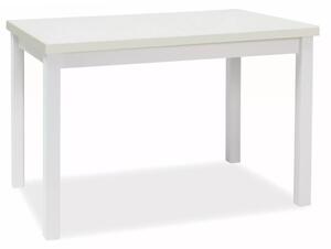 Adam 120 Fehér Matt Étkezőasztal Laminált MDF