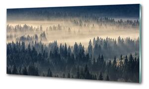 Konyhai dekorpanel Köd az erdőben