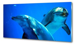 Konyhai fali panel Két delfin