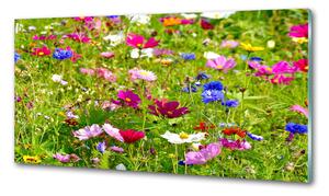 Konyhai falburkoló panel Field virágok