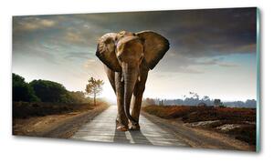 Konyhai fali panel Séta elefánt