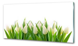Konyhai falburkoló panel Fehér tulipán