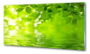 Konyhai falburkoló panel Zöld levelek