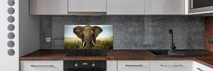 Konyhai fali panel Elefánt a szavannán