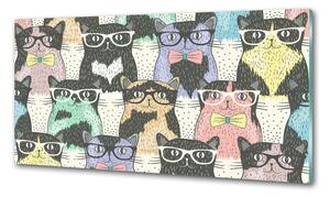 Konyhai fali panel Macskák szemüveg