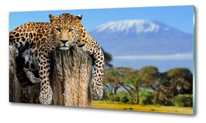 Konyhai fali panel Leopard egy fatönkön