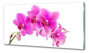 Konyhai falburkoló panel Rózsaszín orchidea