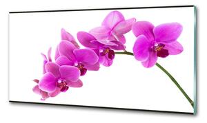 Konyhai falburkoló panel Rózsaszín orchidea