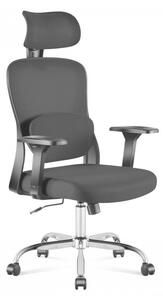 Ergonomikus irodai forgószék, kartámaszokkal, deréktámasszal, hálós anyaggal, fekete