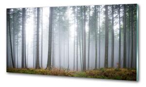 Konyhapanel Köd az erdőben