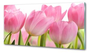 Konyhai hátfalpanel Rózsaszín tulipánok