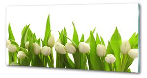 Konyhai panel Fehér tulipán