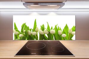 Konyhai panel Fehér tulipán