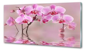 Konyhai hátfalpanel Rózsaszín orchidea