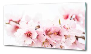 Konyhai hátfalpanel Cseresznye virágok