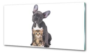 Konyhai fali panel Kutya és macska