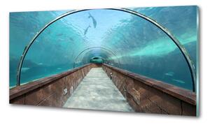 Konyhai falvédő Az alagút akvárium