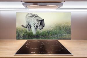 Konyhai fali panel Fehér tigris