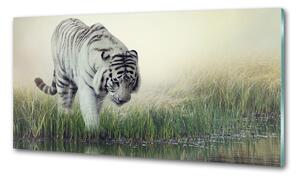 Konyhai fali panel Fehér tigris