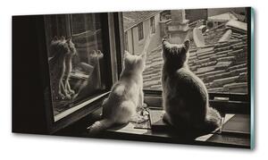 Konyhai fali panel Macskák az ablakban