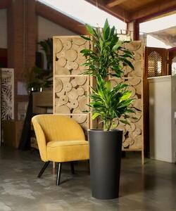 Brooklyn 75 cm antracit virágcserép - Antracit - 71 - 90 cm - Europlast