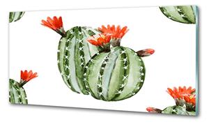 Konyhai hátfalpanel Kaktuszok