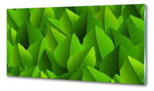 Konyhai falburkoló panel Zöld levelek