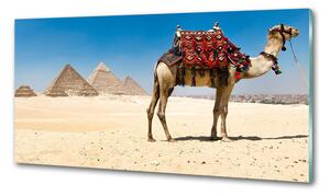 Konyhai fali panel Camel kairóban
