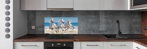 Konyhai fali panel White horse beach
